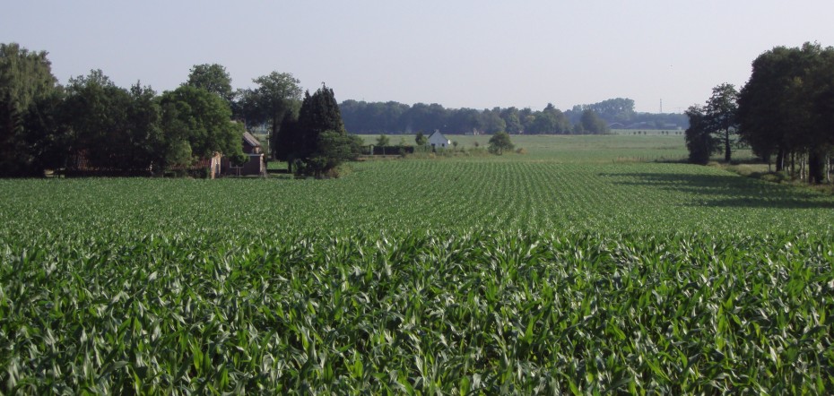 Lochemseberg