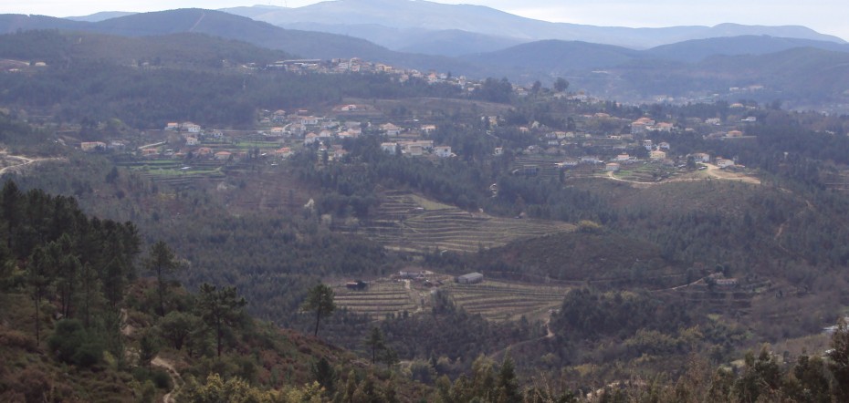 Canedo de Basto