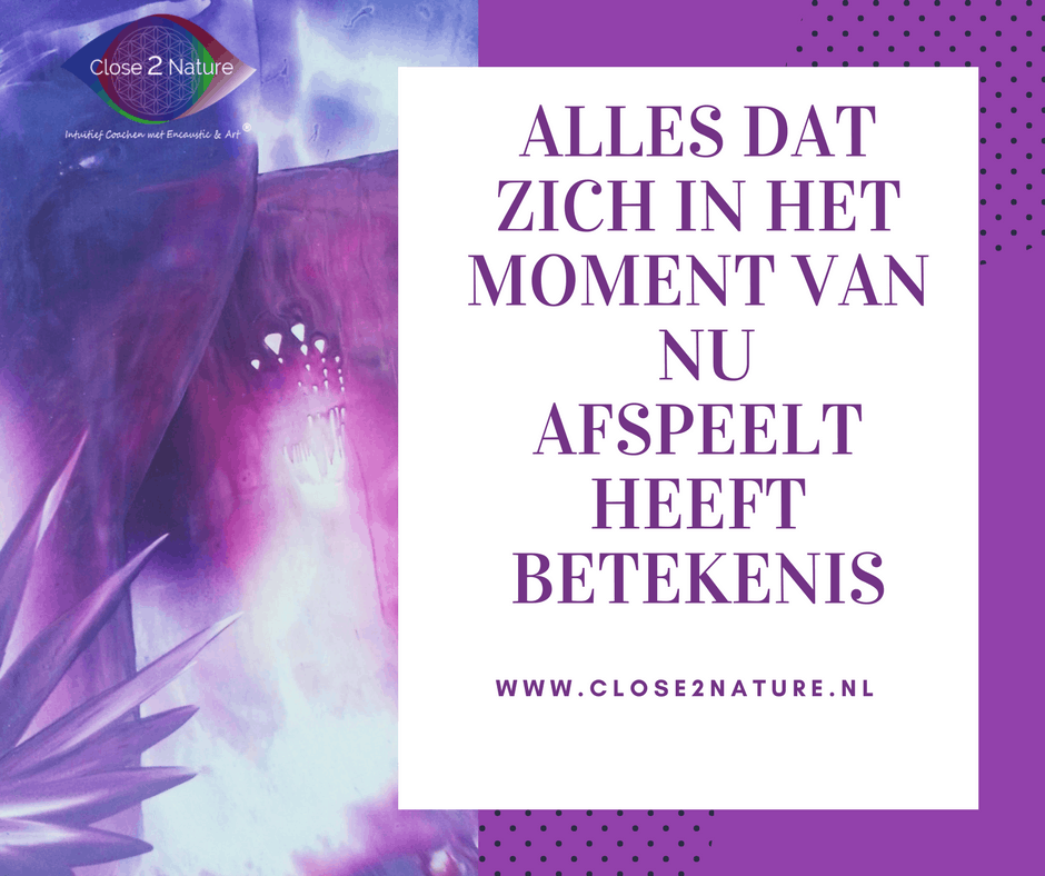 Alles dat zich in het moment van NU