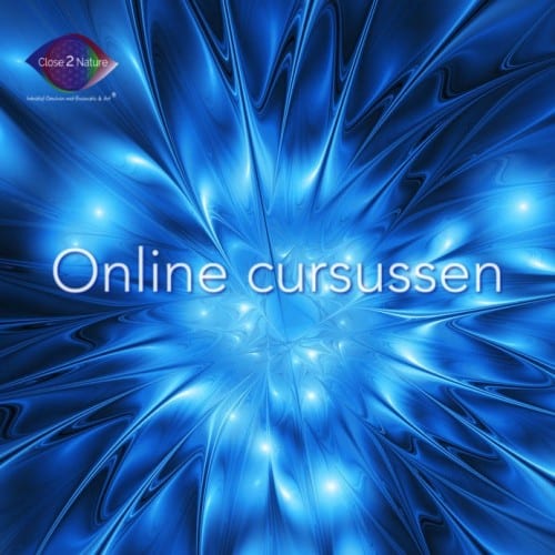 Online Cursussen