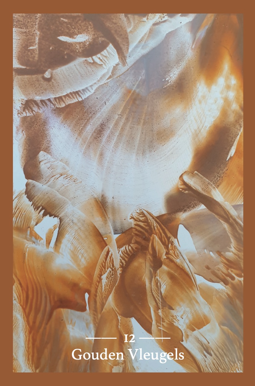 12 Gouden vleugels