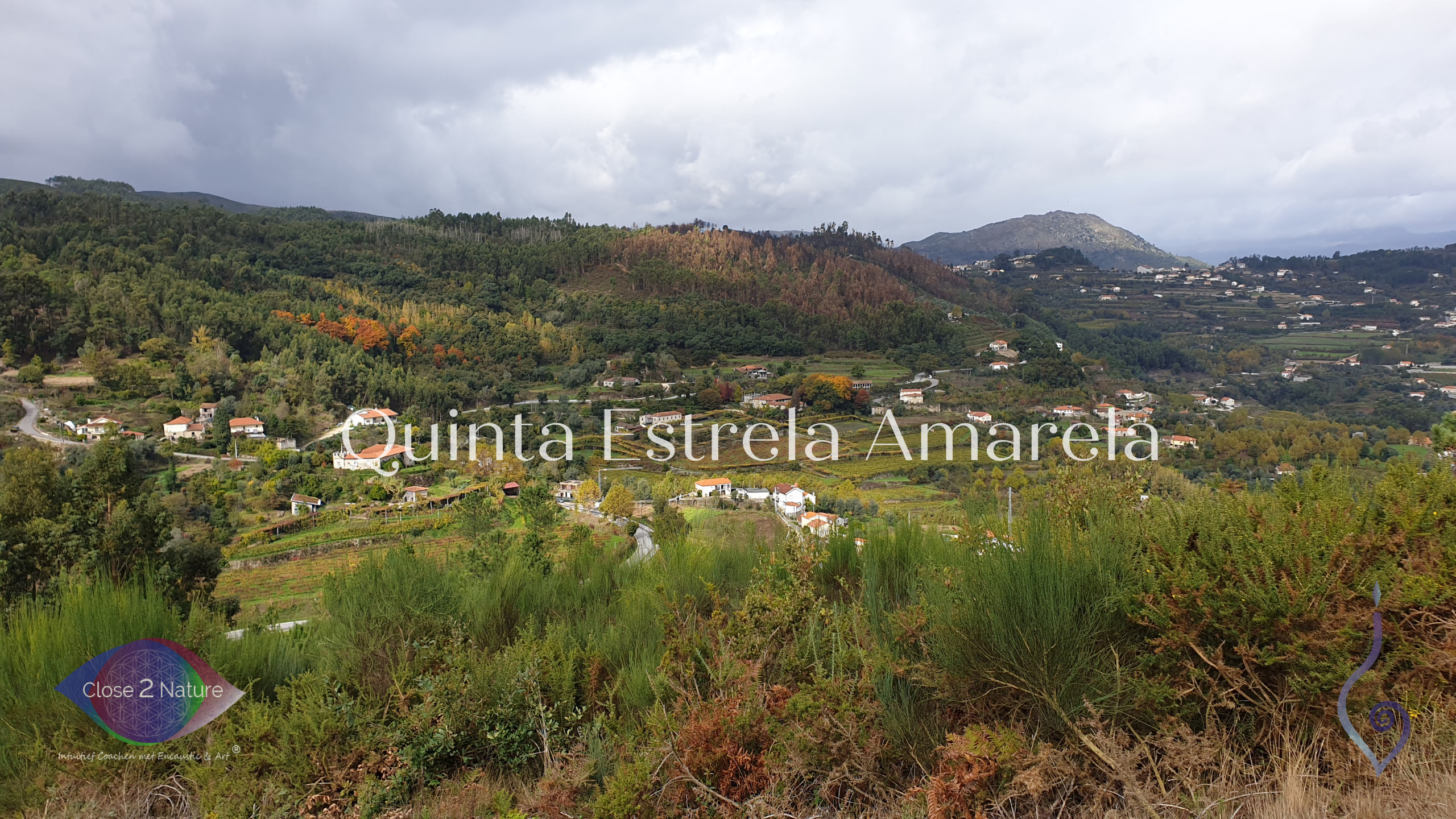 Quinta Estrela Amarela YT
