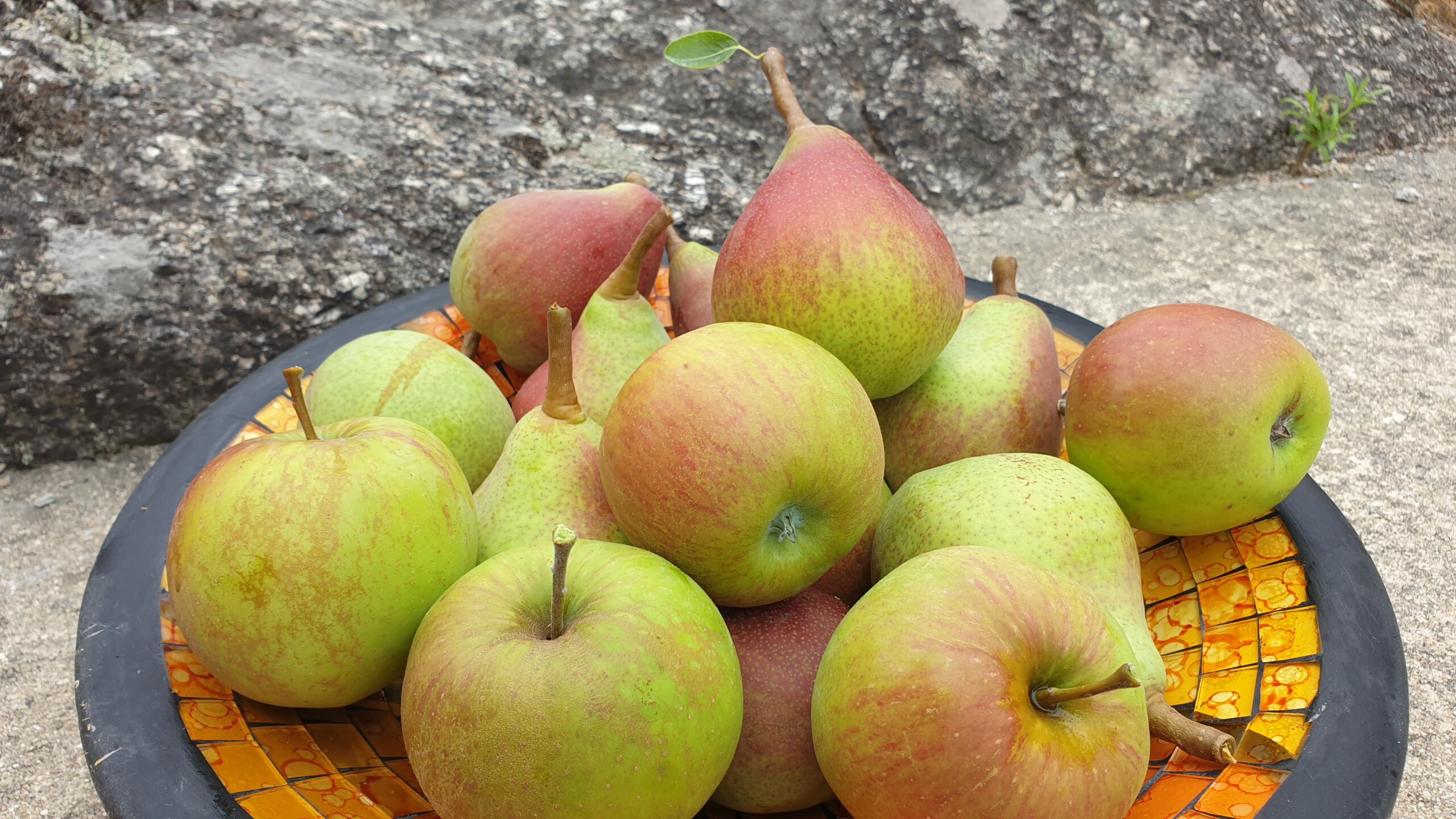 appels en peren