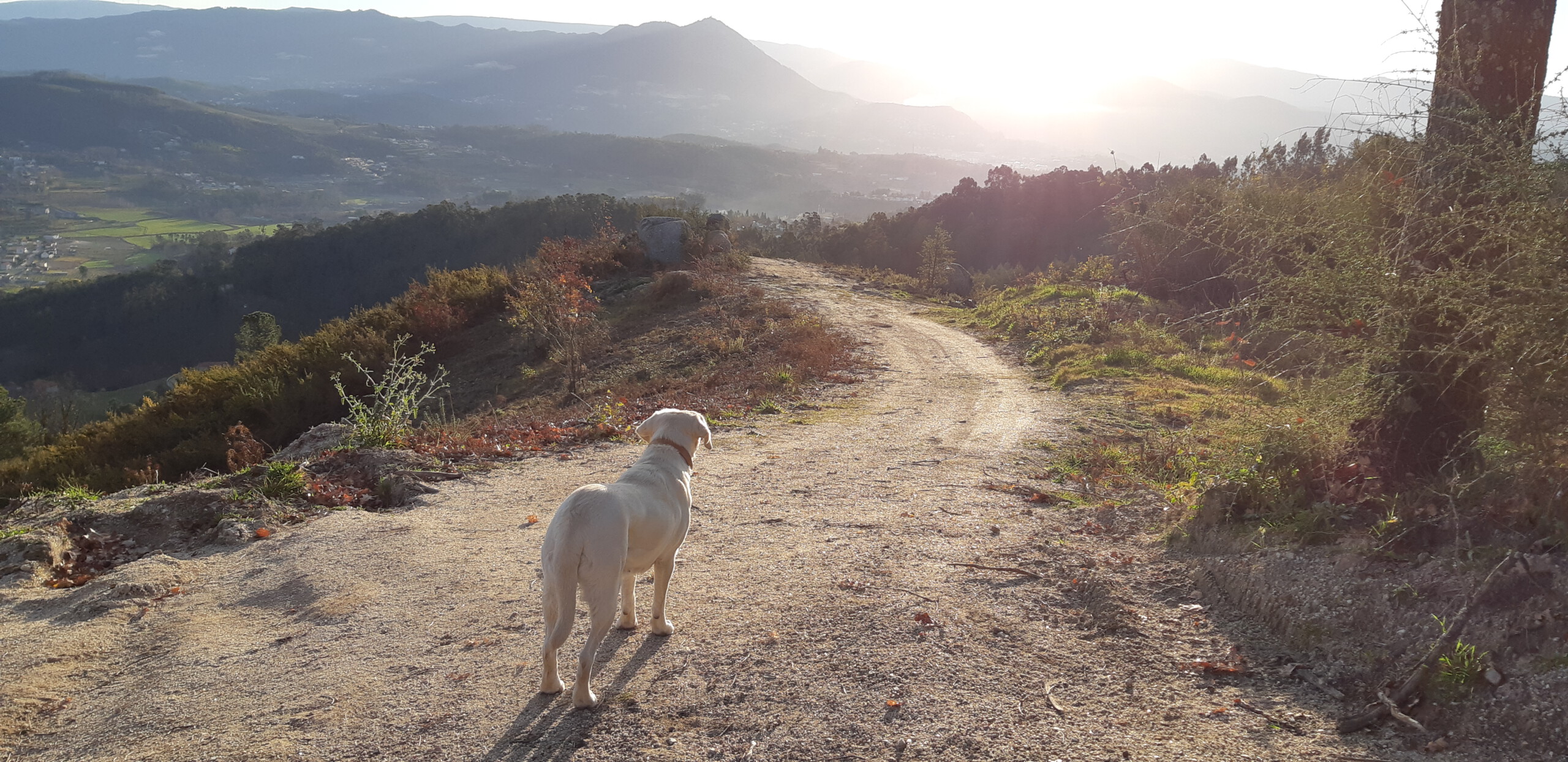 Suri on top of the mountain