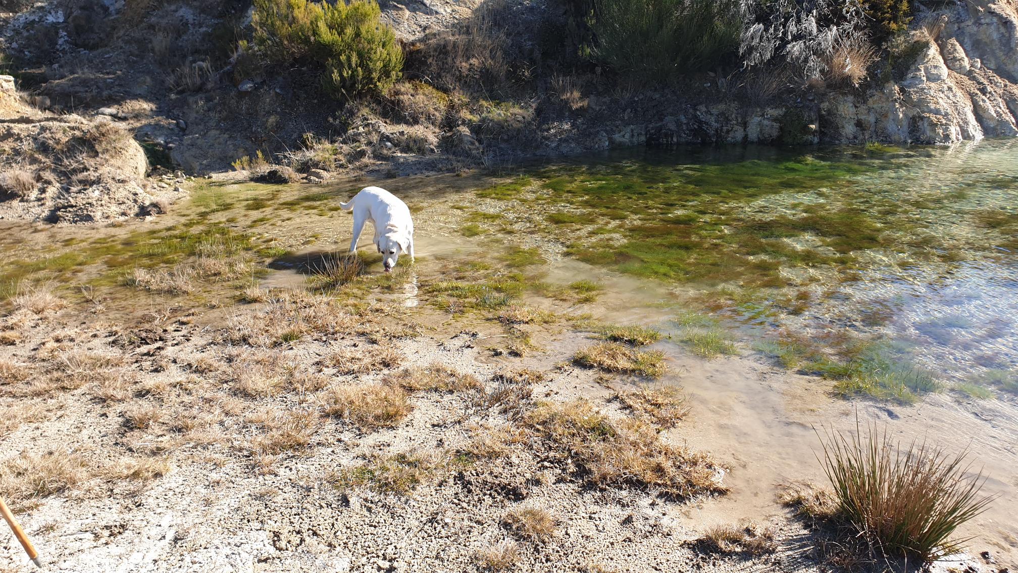 Wandeling Lamas 20220201_123719